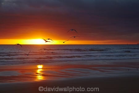 Australasian;Australia;Australian;Bass-Strait;beach;beaches;break-of-day;calm;coast;coastal;coastline;dawn;dawning;daybreak;first-light;Godfreys-Beach;Island-of-Tasmania;morning;North-Western-Tasmania;North-WestTasmania;Northern-Tasmania;Northwestern-Tasmania;NorthwestTasmania;ocean;oceans;orange;placid;quiet;reflection;reflections;sand;sandy;serene;shore;shoreline;smooth;Stanley;Stanley-Peninsula;State-of-Tasmania;still;sunrise;sunrises;sunup;Tas;Tasmania;The-North;tranquil;twilight;water