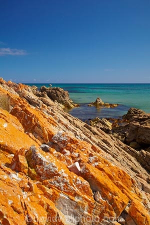 algae;Ann-Bay;Australasian;Australia;Australian;coast;coastal;coastline;coastlines;coasts;foreshore;fungi;Green-Point;Greent-Pt;Island-of-Tasmania;lichens;Marrawah;North-West-Tasmania;North-Western-Tasmania;Northern-Tasmania;orange;orange-lichen;orange-lichens;orange-rock;orange-rock-lichen;orange-rock-lichens;orange-rocks;rock;rocks;shore;shoreline;shorelines;shores;State-of-Tasmania;Tas;Tasmania;The-North