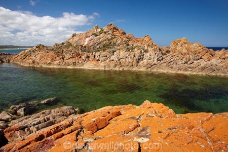 algae;Australasian;Australia;Australian;coast;coastal;coastline;coastlines;coasts;foreshore;fungi;Island-of-Tasmania;lichens;North-West-Tasmania;North-Western-Tasmania;Northern-Tasmania;orange;orange-lichen;orange-lichens;orange-rock;orange-rock-lichen;orange-rock-lichens;orange-rocks;shore;shoreline;shorelines;shores;State-of-Tasmania;Tas;Tasmania;The-North;West-Point;West-Point-State-Reserve