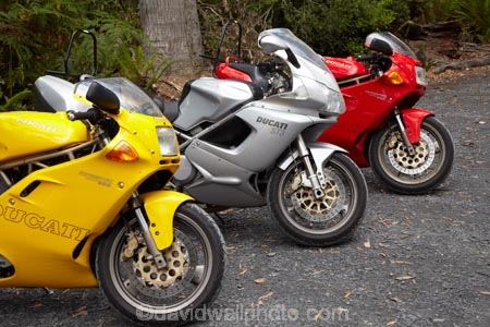 Australasian;Australia;Australian;Bass-Highway;bike;bikes;Ducati;Ducati-DS3;Ducati-Supersport-900;Ducatis;Island-of-Tasmania;motorbike;motorbikes;motorcycle;motorcycles;Northern-Tasmania;Red-Ducati;Red-Ducatis;Silver-Ducati;Silver-Ducatis;State-of-Tasmania;Tas;Tasmania;The-North;Three-Ducati-Motorbikes;Three-Ducatis;Three-Motorbikes;Yellow-Ducati;Yellow-Ducatis