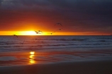 Australasian;Australia;Australian;Bass-Strait;beach;beaches;break-of-day;calm;coast;coastal;coastline;dawn;dawning;daybreak;first-light;Godfreys-Beach;Island-of-Tasmania;morning;North-Western-Tasmania;North-WestTasmania;Northern-Tasmania;Northwestern-Tasmania;NorthwestTasmania;ocean;oceans;orange;placid;quiet;reflection;reflections;sand;sandy;serene;shore;shoreline;smooth;Stanley;Stanley-Peninsula;State-of-Tasmania;still;sunrise;sunrises;sunup;Tas;Tasmania;The-North;tranquil;twilight;water