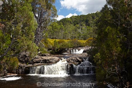 Australasian;Australia;Australian;brook;brooks;cascade;cascades;Cradle-Mountain-_-Lake-St-Clair-National-Park;Cradle-Mt-_-Lake-St-Clair-National-Park;creek;creeks;falls;flow;Island-of-Tasmania;natural;nature;Pencil-Pine-Creek;scene;scenic;State-of-Tasmania;stream;streams;Tas;Tasmania;The-West;water;water-fall;water-falls;waterfall;waterfalls;West-Tasmania;Western-Tasmania;wet