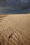 Australasia;Australasian;Australia;Australian;beach;beaches;black-cloud;black-clouds;black-sky;cloud;cloudy;coast;coastal;coastline;dark-cloud;dark-clouds;dark-sky;gray-cloud;gray-clouds;gray-sky;grey-cloud;grey-clouds;grey-sky;Island-of-Tasmania;Ocean-Beach;rain-cloud;rain-clouds;ripple;ripples;sand;sand-ripple;sand-ripples;sandy;State-of-Tasmania;storm;storm-clouds;storms;stormy;Strahan;Tas;Tasmania;The-West;West-Tasmania;Western-Tasmania;wind-ripple;wind-ripples