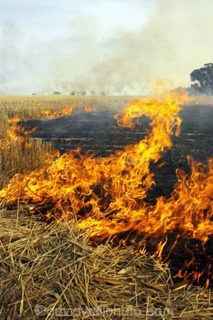 agricultural;agriculture;ash;australasia;Australia;australian;burn;burn-off;burn-offs;burn_off;burn_offs;burned;burning;burns;burnt;country;countryside;crop;crops;cultivation;farm;farming;farmland;farms;field;fields;fire;fires;flame;flames;grass_fire;grass_fires;grassfire;grassfires;heat;horticulture;hot;meadow;meadows;paddock;paddocks;pasture;pastures;polute;polutes;polution;rural;smoke;smokey;Stubble-Burnoff;Victoria;Wangaratta