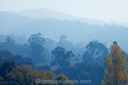 air-pollution;air-polutants;air-quality;airshed;airsheds;atmosphere;Australia;autuminal;autumn;autumnal;bad-air-quality;Berringama;burnoff;burnoffs;bush-fire;bush-fires;bush_fire;bush_fires;bushfire;bushfires;carbon-footprint;Corryong;deciduous;Eastern-Victoria;emissions;emit;emsision;environment;eucalypt;eucalypts;eucalyptus;eucalytis;fall;global-warming;greenhouse-gas;greenhouse-gases;gum;gum-tree;gum-trees;gums;haze;hazey;hazy;high-pollution-day;high-pollution-days;hill;hills;Mount-Burrowa;Mt-Burrowa;Mt.-Burrowa;pollute;polluting;pollution;poor-air-quality;season;seasonal;seasons;Shelley;smog;smoggy;smoke;smokey;smoky;Tallangatta;tree;trees;VIC;Victoria