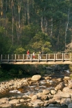 Australia;Bogong;Bogong-Village;bridge;bridges;brook;brooks;child;children;creek;creeks;East-Victoria;Eastern-Victoria;eucalypt;eucalypts;eucalyptus;eucalytis;flow;foot-bridge;foot-bridges;footbridge;footbridges;gum;gum-tree;gum-trees;gums;hike;hiker;hikers;hiking;hiking-track;hiking-tracks;kid;kids;mother;Mount-Beauty;Mt-Beauty;Mt.-Beauty;parent;pedestrian-bridge;pedestrian-bridges;people;person;Rocky-Valley-Creek;stream;streams;track;tracks;tramp;tramper;trampers;tramping;tramping-tack;tramping-tracks;tree;trees;trek;treker;trekers;treking;trekker;trekkers;trekking;VIC;Victoria;Victorian-Alps;walk;walker;walkers;walking;walking-track;walking-tracks;water;wet;woman