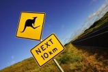 12-Apostles;australasia;Australia;australian;Great-Ocean-Road;kangaroo;Kangaroo-Warning-Sign;kangaroos;natural;nature;next-10-km;next-ten-km;Road;road-sign;road-signs;road_sign;road_signs;roads;roadsign;roadsigns;sign;signs;symbol;symbols;tranportation;transport;travel;Victoria;warn;warning;wildlife;yellow-black