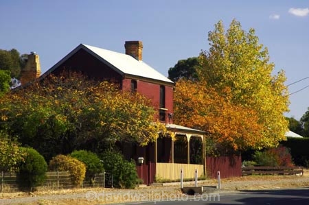 australasia;australia;australian;Autrumn-Colour;autuminal;autumn;autumnal;building;buildings;Castlemaine;color;colors;colour;colours;cottage;cottages;fall;heritage;historic;historic-building;historic-buildings;historical;historical-building;historical-buildings;history;leaf;leaves;old;Old-Cottage;tradition;traditional;tree;trees;Victoria
