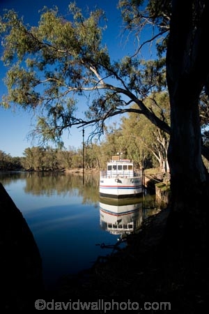 Australasian;Australia;Australian;boat;boats;calm;cruise;cruises;eucalypt;eucalypts;eucalyptus;eucalytis;gum;gum-tree;gum-trees;gums;launch;launches;M.V.-Kookaburra;Murray-River;N.S.W.;New-South-Wales;NSW;placid;quiet;reflection;reflections;river;rivers;serene;smooth;still;Swan-Hill;tour-boat;tour-boats;tourism;tourist;tourist-boat;tourist-boats;tranquil;tree;trees;Vic;Victoria;water