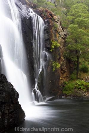australasia;australasian;Australia;cascade;cascades;creek;creeks;falls;grampian-national-park;grampians-N.P.;Grampians-National-Park;Mackenzie-Falls;mckenzie-falls;national-parks;natural;nature;scene;scenic;stream;streams;Victoria;water;water-fall;water-falls;waterfall;waterfalls;wet