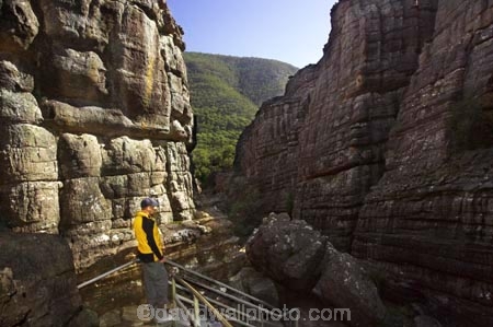 australasia;australasian;Australia;bluff;bluffs;canyon;canyons;cliff;cliffs;erosion;geological-formation;geological-formations;geology;gorge;gorges;grampian-national-park;grampians-N.P.;Grampians-National-Park;grampians-np;grand-canyon;national-parks;natural;nature;people;person;persons;ravine;ravines;rock;rock-formation;rock-formations;rocks;rocky;scene;scenic;stair;staircase;staircases;stairs;stairway;stairways;stone;tourism;tourist;tourists;travel;Victoria