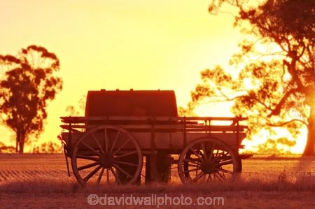 abandon;abandoned;australasia;australasian;australia;australian;cart;carts;cartwheel;cartwheels;castaway;character;derelict;dereliction;deserted;desolate;desolation;destruction;dusk;evening;Horsham;morning;mount-arapiles;mt-arapiles;mt.-arapiles;Natimuk;neglect;neglected;nightfall;old;old-fashioned;old_fashioned;orange;pony-cart;run-down;rustic;sky;spoked-wheel;spoked-wheels;sunset;sunsets;twilight;victoria;vintage;waggon;waggons;wagon;wagon-wheel;wagon-wheels;wagons;wheel;wheels