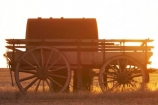 abandon;abandoned;australasia;australasian;australia;australian;cart;carts;cartwheel;cartwheels;castaway;character;derelict;dereliction;deserted;desolate;desolation;destruction;dusk;evening;Horsham;morning;mount-arapiles;mt-arapiles;mt.-arapiles;Natimuk;neglect;neglected;nightfall;old;old-fashioned;old_fashioned;orange;pony-cart;run-down;rustic;sky;spoked-wheel;spoked-wheels;sunset;sunsets;twilight;victoria;vintage;waggon;waggons;wagon;wagon-wheel;wagon-wheels;wagons;wheel;wheels