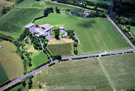 vine;vines;grapes;grapevines;patterns;pattern;viticulture;viticultural;winemaking;wine-making;row;rows;vinosity;vinter;vinters;aerials;wineries;winery