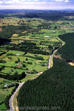 aerial;aerials;agricultural;agriculture;auckland;block;blocks;farmland;forest;forestry;new-zealand;north-auckland;north-island;nz;pinus-radiata;plantation;plantations;riverhead-forest;rural;tree;trees