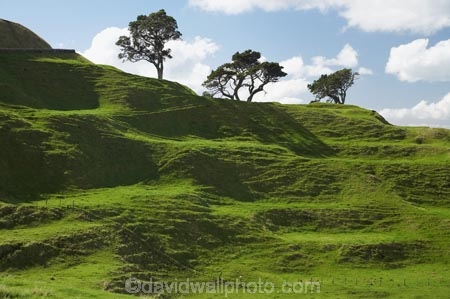auckland;cornwall-park;grass;Maungakiekie;N.I.;n.z.;new-zealand;NI;north-island;nz;one-tree-hill;one-tree-hill-domain;volcano;volcanoes