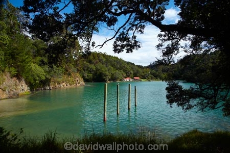 Auckland;Auckland-region;coast;coastal;coastline;coastlines;coasts;Leigh;Leigh-Harbor;Leigh-Harbour;N.Z.;New-Zealand;North-Auckland;North-Is.;North-Island;Nth-Is;NZ;Omaha-Cove;Rodney-District;sea;seas;shore;shoreline;shorelines;shores;water