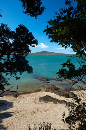 Auckland;beach;beaches;Devonport;Hauraki-Gulf;Maungauika;N.I.;N.Z.;New-Zealand;NI;North-Auckland;North-Head;North-Head-Historic-Reserve;North-Is;North-Island;North-Shore;Nth-Is;NZ;pohutukawa-tree;pohutukawa-trees;Rangitoto-Is;Rangitoto-Island;volcanic;volcanic-cone;volcanic-cones;volcano;volcanoes