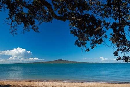 Auckland;beach;beaches;Cheltenham-Beach;Devonport;Hauraki-Gulf;N.I.;N.Z.;New-Zealand;NI;North-Auckland;North-Head;North-Is;North-Island;North-Shore;Nth-Is;NZ;pohutukawa-tree;pohutukawa-trees;Rangitoto-Is;Rangitoto-Island;volcanic;volcanic-cone;volcanic-cones;volcano;volcanoes