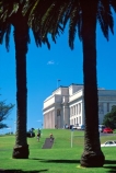 columns;grass;historic;historical;history;palm;palm-tree;palm-trees;war-memorial-museum