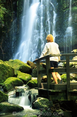 moss;wet;water;waterfall;waterfalls;water-fall;water-falls;stream;streams;brook;brooks;creek;creeks;nature;natural;scene;scenic;green;color;colors;colours;colour;cascade;cascades;Southern-Scenic-Route;person;tourist;tourism;alone;viewing-platform