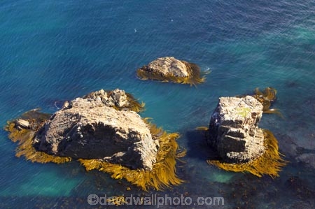bluff;bluffs;Catlins-District;cliff;cliffs;clutha-district;coast;coastal;coastline;horizon;natural;New-Zealand;Nugget-Point;ocean;pacific;people;rock;rocks;rocky;sea;South-Island;south-otago;The-Nuggets;wave;waves