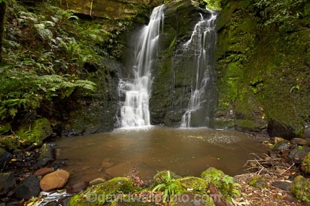 cascade;cascades;Catlins;Catlins-District;Catlins-Region;creek;creeks;falls;green;Horseshoe-Falls;Matai-Falls;moss;N.Z.;natural;nature;New-Zealand;NZ;Otago;S.I.;scene;scenic;SI;South-Is;South-Island;South-Otago;Sth-Is;Sth-Otago;stream;streams;water;water-fall;water-falls;waterfall;waterfalls;wet