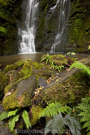cascade;cascades;Catlins;Catlins-District;Catlins-Region;creek;creeks;falls;green;Horseshoe-Falls;Matai-Falls;moss;N.Z.;natural;nature;New-Zealand;NZ;Otago;S.I.;scene;scenic;SI;South-Is;South-Island;South-Otago;Sth-Is;Sth-Otago;stream;streams;water;water-fall;water-falls;waterfall;waterfalls;wet
