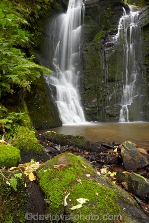 cascade;cascades;Catlins;Catlins-District;Catlins-Region;creek;creeks;falls;green;Horseshoe-Falls;Matai-Falls;moss;N.Z.;natural;nature;New-Zealand;NZ;Otago;S.I.;scene;scenic;SI;South-Is;South-Island;South-Otago;Sth-Is;Sth-Otago;stream;streams;water;water-fall;water-falls;waterfall;waterfalls;wet