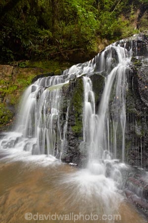 cascade;cascades;Catlins;Catlins-District;Catlins-Region;creek;creeks;falls;N.Z.;natural;nature;New-Zealand;NZ;Otago;Purakanui-Falls;Purakaunui-Falls;S.I.;scene;scenic;SI;South-Is;South-Island;South-Otago;Sth-Is;Sth-Otago;stream;streams;water;water-fall;water-falls;waterfall;waterfalls;wet