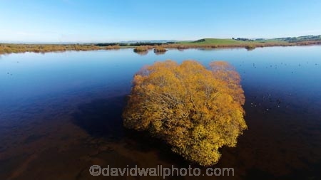 aerial;Aerial-drone;Aerial-drones;aerial-image;aerial-images;aerial-photo;aerial-photograph;aerial-photographs;aerial-photography;aerial-photos;aerial-view;aerial-views;aerials;autuminal;autumn;autumn-colour;autumn-colours;autumnal;Balclutha;Clutha-District;color;colors;colour;colours;deciduous;Drone;Drones;Dunedin;fall;gold;golden;lake;Lake-Tuakitoto;Lake-Tuakitoto-Wetland;lakes;N.Z.;New-Zealand;NZ;Otago;Quadcopter;Quadcopters;remote-piloted-aircraft-systems;remotely-operated-aircraft;remotely-piloted-aircraft;remotely-piloted-aircrafts;ROA;RPA;RPAS;S.I.;season;seasonal;seasons;SI;South-Is;South-Island;South-Otago;Sth-Is;tree;trees;U.A.V.;UA;UAS;UAV;UAVs;Unmanned-aerial-vehicle;unmanned-aircraft;unpiloted-aerial-vehicle;unpiloted-aerial-vehicles;unpiloted-air-system;wetland;wetlands;willow;willow-tree;willow-trees;willows;yellow