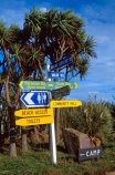 cabbage-tree;Catlins;Curio-Bay;directions;flax;locate;locations;n.z.;New-Zealand;NZ;palm;rest-room;restroom;Sign-Post;signage;signpost;signs;South-Island;Southland;toilets