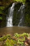 cascade;cascades;Catlins;Catlins-District;Catlins-Region;creek;creeks;falls;green;Horseshoe-Falls;Matai-Falls;moss;N.Z.;natural;nature;New-Zealand;NZ;Otago;S.I.;scene;scenic;SI;South-Is;South-Island;South-Otago;Sth-Is;Sth-Otago;stream;streams;water;water-fall;water-falls;waterfall;waterfalls;wet