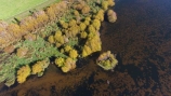 aerial;Aerial-drone;Aerial-drones;aerial-image;aerial-images;aerial-photo;aerial-photograph;aerial-photographs;aerial-photography;aerial-photos;aerial-view;aerial-views;aerials;autuminal;autumn;autumn-colour;autumn-colours;autumnal;Balclutha;Clutha-District;color;colors;colour;colours;deciduous;Drone;Drones;Dunedin;fall;gold;golden;lake;Lake-Tuakitoto;Lake-Tuakitoto-Wetland;lakes;N.Z.;New-Zealand;NZ;Otago;Quadcopter;Quadcopters;remote-piloted-aircraft-systems;remotely-operated-aircraft;remotely-piloted-aircraft;remotely-piloted-aircrafts;ROA;RPA;RPAS;S.I.;season;seasonal;seasons;SI;South-Is;South-Island;South-Otago;Sth-Is;tree;trees;U.A.V.;UA;UAS;UAV;UAVs;Unmanned-aerial-vehicle;unmanned-aircraft;unpiloted-aerial-vehicle;unpiloted-aerial-vehicles;unpiloted-air-system;wetland;wetlands;willow;willow-tree;willow-trees;willows;yellow