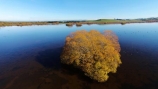 aerial;Aerial-drone;Aerial-drones;aerial-image;aerial-images;aerial-photo;aerial-photograph;aerial-photographs;aerial-photography;aerial-photos;aerial-view;aerial-views;aerials;autuminal;autumn;autumn-colour;autumn-colours;autumnal;Balclutha;Clutha-District;color;colors;colour;colours;deciduous;Drone;Drones;Dunedin;fall;gold;golden;lake;Lake-Tuakitoto;Lake-Tuakitoto-Wetland;lakes;N.Z.;New-Zealand;NZ;Otago;Quadcopter;Quadcopters;remote-piloted-aircraft-systems;remotely-operated-aircraft;remotely-piloted-aircraft;remotely-piloted-aircrafts;ROA;RPA;RPAS;S.I.;season;seasonal;seasons;SI;South-Is;South-Island;South-Otago;Sth-Is;tree;trees;U.A.V.;UA;UAS;UAV;UAVs;Unmanned-aerial-vehicle;unmanned-aircraft;unpiloted-aerial-vehicle;unpiloted-aerial-vehicles;unpiloted-air-system;wetland;wetlands;willow;willow-tree;willow-trees;willows;yellow