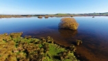aerial;Aerial-drone;Aerial-drones;aerial-image;aerial-images;aerial-photo;aerial-photograph;aerial-photographs;aerial-photography;aerial-photos;aerial-view;aerial-views;aerials;autuminal;autumn;autumn-colour;autumn-colours;autumnal;Balclutha;Clutha-District;color;colors;colour;colours;deciduous;Drone;Drones;Dunedin;fall;gold;golden;lake;Lake-Tuakitoto;Lake-Tuakitoto-Wetland;lakes;N.Z.;New-Zealand;NZ;Otago;Quadcopter;Quadcopters;remote-piloted-aircraft-systems;remotely-operated-aircraft;remotely-piloted-aircraft;remotely-piloted-aircrafts;ROA;RPA;RPAS;S.I.;season;seasonal;seasons;SI;South-Is;South-Island;South-Otago;Sth-Is;tree;trees;U.A.V.;UA;UAS;UAV;UAVs;Unmanned-aerial-vehicle;unmanned-aircraft;unpiloted-aerial-vehicle;unpiloted-aerial-vehicles;unpiloted-air-system;wetland;wetlands;willow;willow-tree;willow-trees;willows;yellow