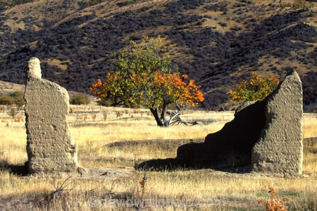 sun_dried-bricks;brick;sundried-brick;home;abode;ruin;ruined;worn;aged;orchard;tree;grass;golden;remains;history;memories;remember;uninhabited;gold-rush;goldrush;golfields;gold-fields