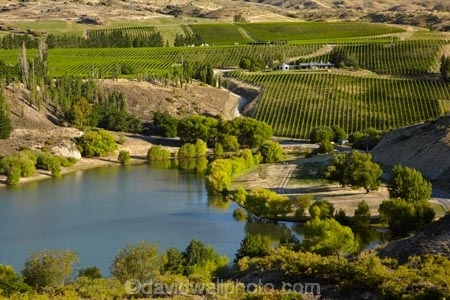 agricultural;agriculture;Bannockburn;Bannockburn-Inlet;Central-Otago;central-otago-vineyard;central-otago-vineyards;central-otago-wineries;central-otago-winery;country;countryside;crop;crops;cultivation;farm;farming;farmland;farms;field;fields;grapevine;grapevines;horticulture;lake;Lake-Dunstan;lakes;N.Z.;New-Zealand;NZ;row;rows;rural;S.I.;SI;South-Is.;south-island;vine;vines;vineyard;vineyards;vintage;wineage;wineries;winery;wines