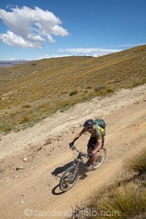 2517;4wd-track;4wd-tracks;adventure;adventure-sport;adventure-sports;adventurous;back-country;backcountry;bicycle;bicycles;bike;biker;bikes;carrick;Carrick-Range;Carrick-Town-Track;Carrick-Track;Carricktown-Track;central;Central-Otago;countryside;cross-country;cycle;cycler;cyclers;cycles;cyclist;cyclists;dirt-track;doqwnhill;downhills;dusty;fast;four-wheel-drive-track;four-wheel-drive-tracks;gravel-road;gravel-roads;high-altitude;high-country;Highcountry;highlands;island;metal-road;metal-roads;metalled-road;metalled-roads;mountain;mountain-bike;mountain-biker;mountain-bikers;mountain-bikes;mtn-bike;mtn-biker;mtn-bikers;mtn-bikes;N.Z.;new;new-zealand;NZ;otago;outdoors;people;person;push-bike;push-bikes;pushbike;push_bike;pushbikes;push_bikes;range;recreation;remote;remoteness;road;roads;rural;S.I.;SI;south;South-Is;South-Island;sport;Sth-Is;track;tracks;tussock;tussock-grass;tussocks;upland;uplands;zealand