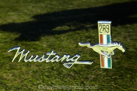 badge;badges;car;cars;Central-Otago;Cromwell;Ford;Ford-Mustang;Ford-Mustangs;Fords;Mustang;Mustang-badge;Mustang-badges;Mustangs;N.Z.;New-Zealand;NZ;Otago;S.I.;SI;South-Is;South-Is.;South-Island;Sth-Is