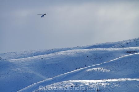 agricultural;agriculture;air-craft;aircraft;aircrafts;aviating;aviation;Central-Otago;chopper;choppers;cold;Coldness;country;countryside;Daytime;Exterior;extreme-weather;farm;farming;farmland;farms;field;fields;freeze;freezing;helicopter;helicopters;high-country;Landscape;Landscapes;Maniototo;meadow;meadows;N.Z.;natural;Nature;New-Zealand;NZ;Otago;Outdoor;Outdoors;Outside;paddock;paddocks;pasture;pastures;Pig-Root-Highway;Pig-Root-Road;Pig-Route-Highway;Pig-Route-Road;Pigroot-Highway;Pigroot-Road;Pigroute;Pigroute-Highway;Pigroute-Road;rural;S.I.;Scenic;Scenics;Season;Seasons;SH-85;SH85;sheep;SI;snow;snowfall;snowy;South-Is;South-Is.;South-Island;State-Highway-85;State-Highway-Eighty-Five;Sth-Is;The-Pig-Route;The-Pigroot;weather;White;winter;Wintertime;wintery;wintry