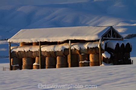 agricultural;agriculture;barn;barns;Central-Otago;cold;Coldness;country;countryside;Daytime;Exterior;extreme-weather;farm;farm-building;farm-buildings;farming;farmland;farms;field;fields;freeze;freezing;Hawkdun-Ra;Hawkdun-Range;hay;hay-bale;hay-bales;hay-barn;hay-barns;hay-shed;hay-sheds;haybarn;haybarns;hayshed;haysheds;high-country;Idaburn;Landscape;Landscapes;Maniototo;meadow;meadows;N.Z.;natural;Nature;New-Zealand;NZ;Otago;Oturehua;Outdoor;Outdoors;Outside;paddock;paddocks;pasture;pastures;rural;S.I.;Scenic;Scenics;Season;Seasons;shed;sheds;SI;snow;snowfall;snowy;South-Is;South-Is.;South-Island;Sth-Is;straw;weather;White;winter;winter-feed;Wintertime;wintery;wintry