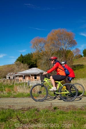 abandon;abandoned;autuminal;autumn;autumn-colour;autumn-colours;autumnal;bicycle;bicycles;bike;bike-track;bike-tracks;bike-trail;bike-trails;bikes;building;buildings;Central-Otago;character;Clutha-Gold-Bike-Trail;Clutha-Gold-Cycle-Trail;Clutha-Gold-Track;Clutha-Gold-Trail;color;colors;colour;colours;cycle;cycle-track;cycle-tracks;cycle-trail;cycle-trails;cycler;cyclers;cycles;cycleway;cycleways;cyclist;cyclists;deciduous;derelict;derelict-building;dereliction;deserted;desolate;desolation;destruction;excercise;excercising;fall;farm-house;farmhouse;gold;golden;heritage;historic;historic-building;historic-buildings;Historic-Ruins;historical;historical-building;historical-buildings;history;Lawrence;leaf;leaves;model-released;mountain-bike;mountain-biker;mountain-bikers;mountain-bikes;MR;mtn-bike;mtn-biker;mtn-bikers;mtn-bikes;N.Z.;neglect;neglected;New-Zealand;NZ;old;old-fashioned;old_fashioned;Otago;people;person;push-bike;push-bikes;push_bike;push_bikes;pushbike;pushbikes;ruin;ruins;run-down;rustic;S.I.;season;seasonal;seasons;SI;South-Is;South-Island;Sth-Is;tradition;traditional;tree;trees;vintage;yellow