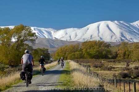 agricultural;agriculture;autuminal;autumn;autumn-colour;autumn-colours;autumnal;bicycle;bicycles;bike;bike-track;bike-tracks;bike-trail;bike-trails;bikes;Central-Otago;Central-Otago-Cycle-Trail;Central-Otago-Rail-Trail;color;colors;colour;colours;country;countryside;cycle;cycle-track;cycle-tracks;cycle-trail;cycle-trails;cycler;cyclers;cycles;cycleway;cycleways;cyclist;cyclists;deciduous;excercise;excercising;fall;farm;farming;farmland;farms;field;fields;gold;golden;Hawkdun-Range;Hawkdun-Ranges;Ida-Range;Ida-Ranges;Ida-Valley;leaf;leaves;meadow;meadows;Mount-Ida;mountain-bike;mountain-biker;mountain-bikers;mountain-bikes;Mt-Ida;mtn-bike;mtn-biker;mtn-bikers;mtn-bikes;N.Z.;New-Zealand;NZ;Otago;Otago-Central-Cycle-Trail;Otago-Central-Rail-Trail;Otago-Rail-Trail;Oturehua;paddock;paddocks;pasture;pastures;people;person;push-bike;push-bikes;push_bike;push_bikes;pushbike;pushbikes;rail-trail;rail-trails;rural;S.I.;season;seasonal;seasons;SI;South-Is;South-Island;Sth-Is;tree;trees;yellow