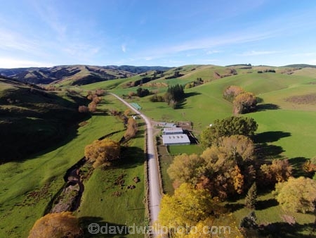 aerial;Aerial-drone;Aerial-drones;aerial-image;aerial-images;aerial-photo;aerial-photograph;aerial-photographs;aerial-photography;aerial-photos;aerial-view;aerial-views;aerials;autuminal;autumn;autumn-colour;autumn-colours;autumnal;Central-Otago;color;colors;colour;colours;country;countryside;deciduous;Drone;Drones;emotely-operated-aircraft;Evans-Flat;fall;farm;Farm-Building;Farm-Buildings;Farm-Shed;Farm-Sheds;farming;farms;gold;golden;Lawrence;Munro-Rd;Munro-Road;N.Z.;New-Zealand;NZ;Otago;Quadcopter;Quadcopters;remote-piloted-aircraft-systems;remotely-piloted-aircraft;remotely-piloted-aircrafts;ROA;road;roads;RPA;RPAS;rural;S.I.;season;seasonal;seasons;Shearing-Shed;Shearing-Sheds;Sheep-Shed;Sheep-Sheds;SI;South-Is;South-Island;Sth-Is;tree;trees;U.A.V.;UA;UAS;UAV;UAVs;Unmanned-aerial-vehicle;unmanned-aircraft;unpiloted-aerial-vehicle;unpiloted-aerial-vehicles;unpiloted-air-system;Wool-Shed;Wool-Sheds;woolshed;woolsheds;yellow