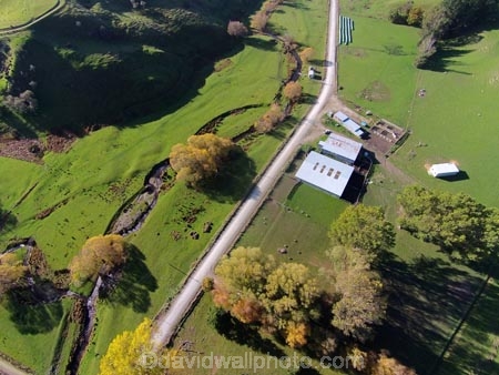 aerial;Aerial-drone;Aerial-drones;aerial-image;aerial-images;aerial-photo;aerial-photograph;aerial-photographs;aerial-photography;aerial-photos;aerial-view;aerial-views;aerials;autuminal;autumn;autumn-colour;autumn-colours;autumnal;Central-Otago;color;colors;colour;colours;country;countryside;deciduous;Drone;Drones;emotely-operated-aircraft;Evans-Flat;fall;farm;Farm-Building;Farm-Buildings;Farm-Shed;Farm-Sheds;farming;farms;gold;golden;Lawrence;Munro-Rd;Munro-Road;N.Z.;New-Zealand;NZ;Otago;Quadcopter;Quadcopters;remote-piloted-aircraft-systems;remotely-piloted-aircraft;remotely-piloted-aircrafts;ROA;road;roads;RPA;RPAS;rural;S.I.;season;seasonal;seasons;Shearing-Shed;Shearing-Sheds;Sheep-Shed;Sheep-Sheds;SI;South-Is;South-Island;Sth-Is;tree;trees;U.A.V.;UA;UAS;UAV;UAVs;Unmanned-aerial-vehicle;unmanned-aircraft;unpiloted-aerial-vehicle;unpiloted-aerial-vehicles;unpiloted-air-system;Wool-Shed;Wool-Sheds;woolshed;woolsheds;yellow