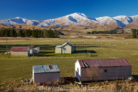 agricultural;agriculture;building;buildings;Central-Otago;cold;Coldness;country;countryside;extreme-weather;farm;Farm-Building;Farm-Buildings;Farm-Shed;Farm-Sheds;farming;farmland;farms;field;fields;freeze;freezing;heritage;historic;historic-building;historic-buildings;historical;historical-building;historical-buildings;history;Kakanui-Mountains;Maniototo;meadow;meadows;N.Z.;New-Zealand;NZ;old;Old-farm-buildings;Otago;paddock;paddocks;pasture;pastures;rural;S.I.;Scenic;Scenics;Season;Seasons;SI;snow;snowy;South-Is;South-Island;Sth-Is;tradition;traditional;weather;white;winter;Wintertime;wintery;wintry