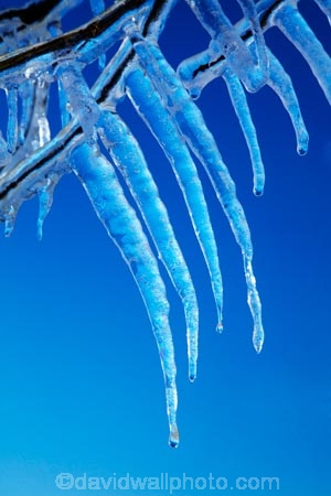 Alexandra;Central-Otago;crop;farm;farming;farms;frost-fighting;fruit-tree;fruit-trees;horticulture;ice;icicle;Icicles;icy;N.Z.;New-Zealand;NZ;orchard;orchard-tree;orchards;Otago;rural;S.I.;SI;South-Is;South-Island;spring;spring-time;spring_time;springtime;sprinklers;Sth-Is