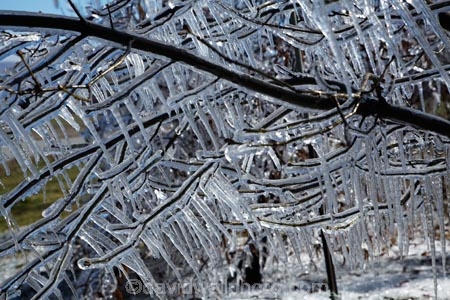 Alexandra;Central-Otago;crop;farm;farming;farms;frost-fighting;fruit-tree;fruit-trees;horticulture;ice;icicle;Icicles;icy;N.Z.;New-Zealand;NZ;orchard;orchard-tree;orchards;Otago;rural;S.I.;SI;South-Is;South-Island;spring;spring-time;spring_time;springtime;sprinklers;Sth-Is