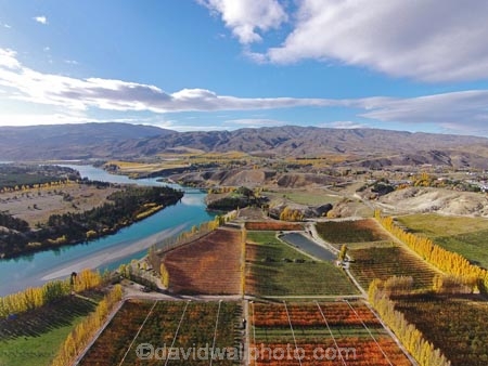 aerial;Aerial-drone;Aerial-drones;aerial-image;aerial-images;aerial-photo;aerial-photograph;aerial-photographs;aerial-photography;aerial-photos;aerial-view;aerial-views;aerials;autuminal;autumn;autumn-colour;autumn-colours;autumnal;Bannockburn;Central-Otago;color;colors;colour;colourful;colours;country;countryside;Cromwell;crop;crops;deciduous;Drone;Drones;fall;farm;farming;farmland;farms;field;fruit;fruit-tree;fruit-trees;gold;golden;horticulture;Kawarau-Arm;lake;Lake-Dunstan;lakes;leaf;leaves;N.Z.;New-Zealand;NZ;orange;orchard;orchards;Otago;pattern;patterns;poplar;poplar-tree;poplar-trees;poplars;Quadcopter;Quadcopters;row;rows;rural;S.I.;season;seasonal;seasons;shape;shapes;SI;South-Is.;South-Island;Sth-Is;Sth-Is.;tree;trees;U.A.V.;UAV;UAVs;Unmanned-aerial-vehicle;water;yellow